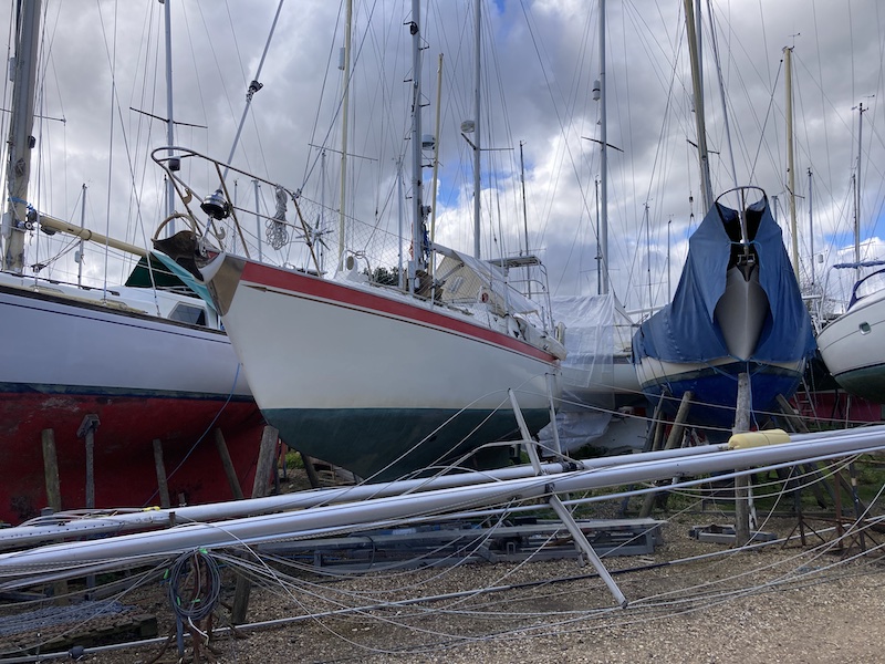 Sea bear in boat yard march 2024