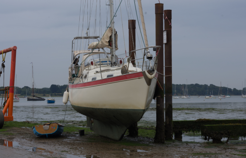 Sea Bear on scubbing posts