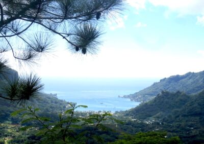 3 Pines ViewPoint Cook's Bay