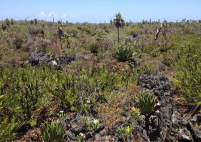 East End Bluff Little Cayman