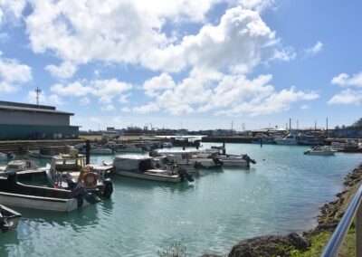 Faua wharf