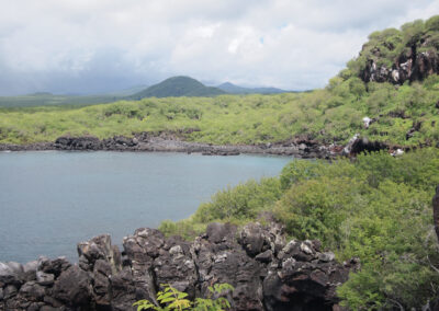 Frigate bird hill