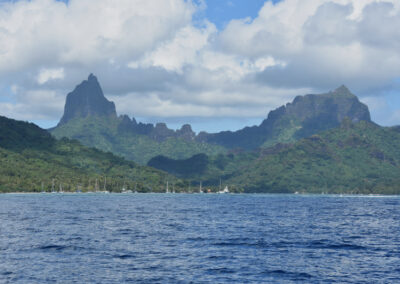 Opunohu Bay