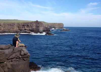 Punta Suarez cliffs