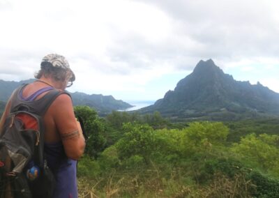 ViewPoint over Opunohu Bay