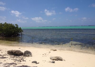 beach Little Cayman