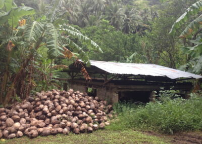 copra shed Fatu Hiva