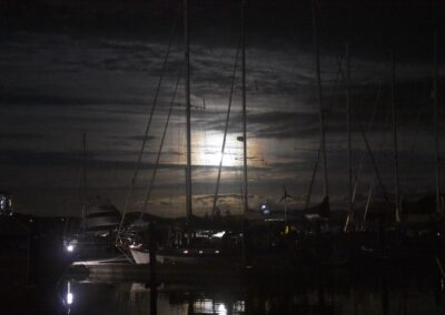 moonlight marina