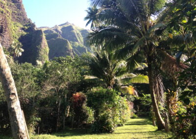 path through Hakaui village