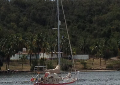 Sea Bear at Punta Gorda Santiago