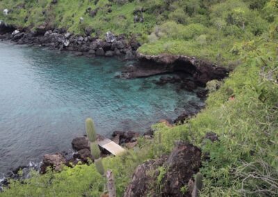 snorkeling cove